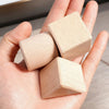 Little Builders Wooden Building Blocks